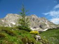 19 Reichenstein rechts der Gipfel